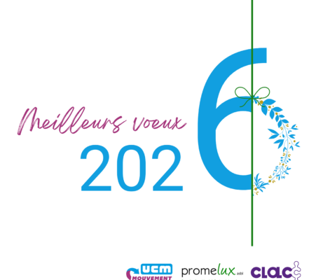 Voeux 2026_Post Facebook final (1)